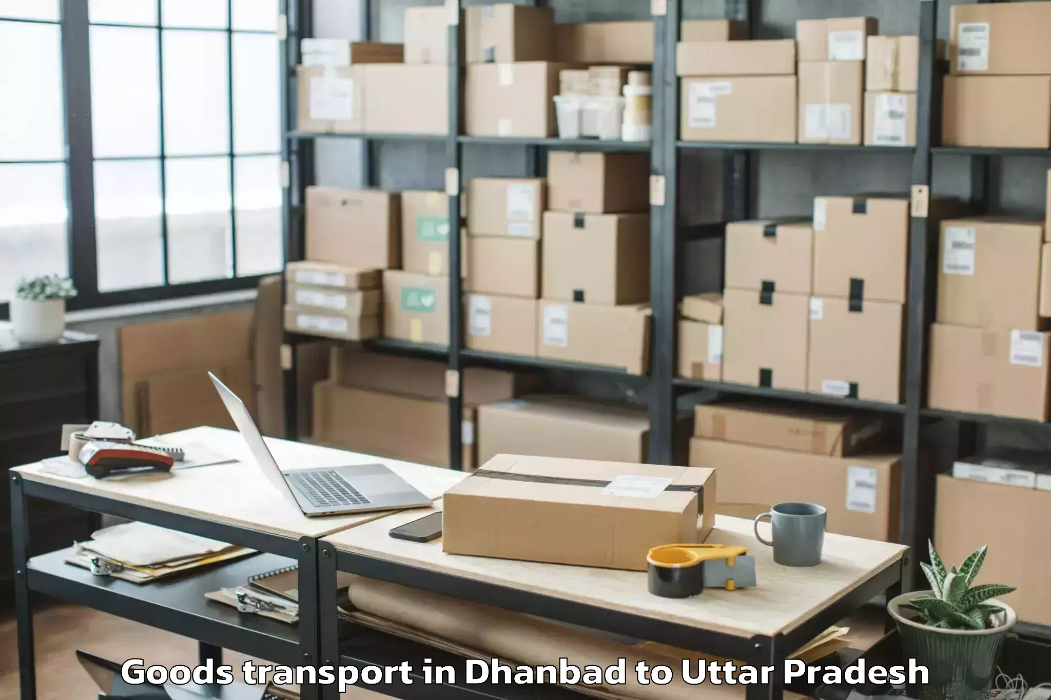 Book Dhanbad to Talbehat Goods Transport